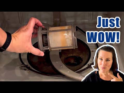 Easiest Way To Clean A Dishwasher Filter (With Vinegar)
