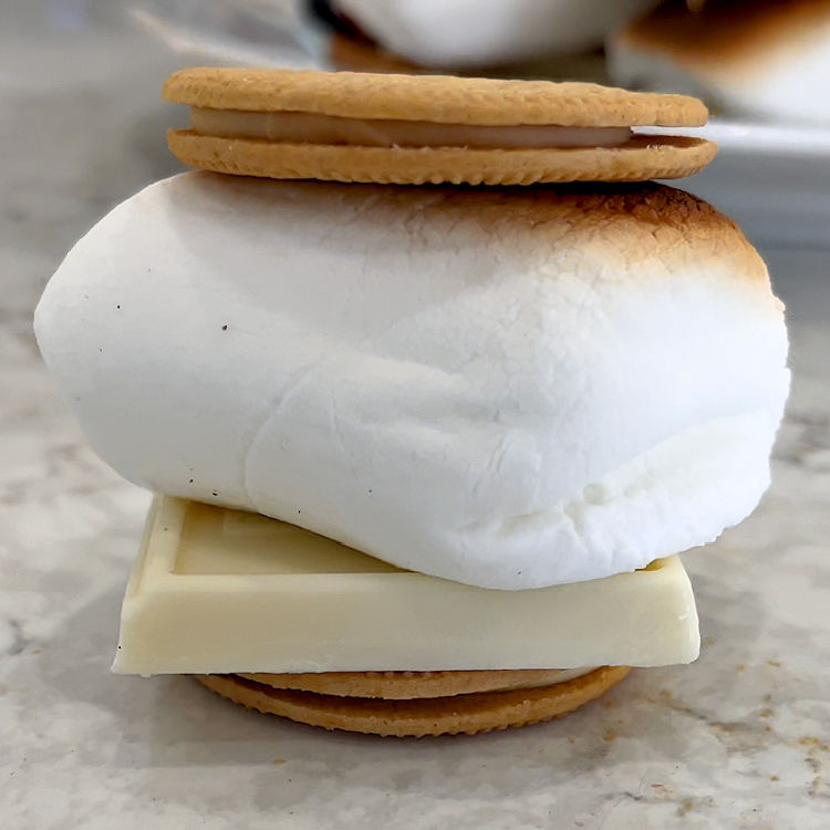 Lemon Oreo thins smores with white chocolate.