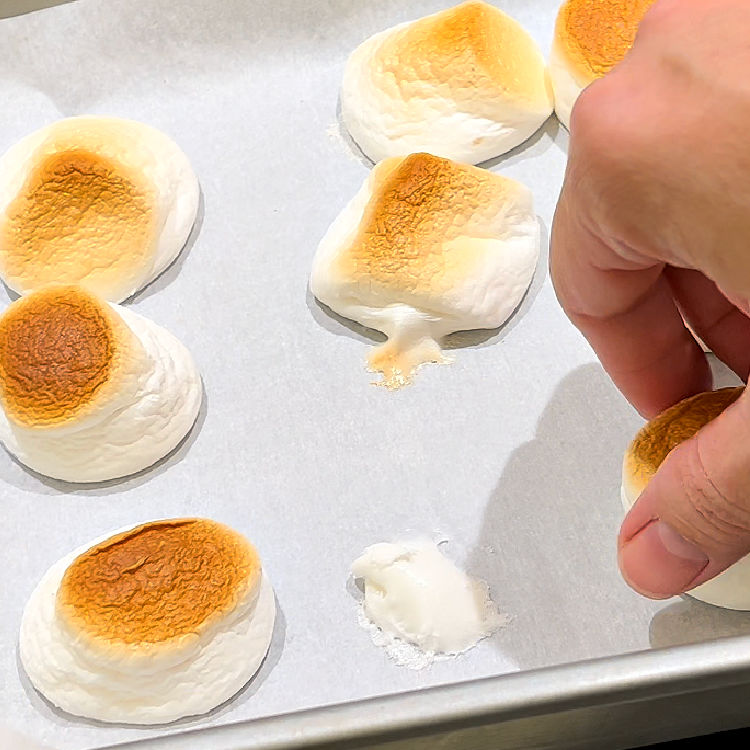 Toasted marshmallows for oven smores recipes.