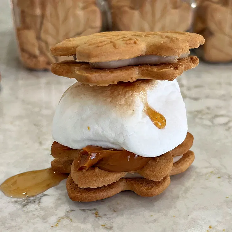 This Dulce De Leche maple cookie Smores is topped with maple syrup and a jumbo roasted marshmallow.