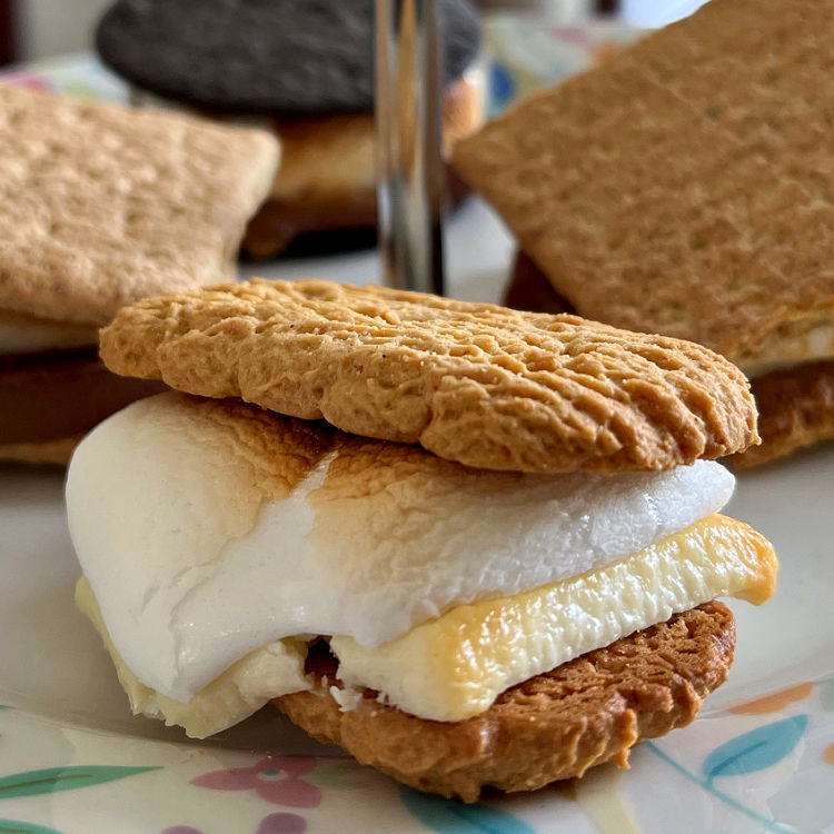 Image shows coconut cookies, and Lindt coconut white chocolate with a marshmallow to make Smores at home.