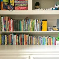 Front view of the DIY Plywood Book Storage. Plywood DIY Kids Book Storage Ideas. Works with Lumber & MDF too. This is a great scrap wood build.