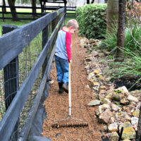 A kid raking gravel on a garden pathway.