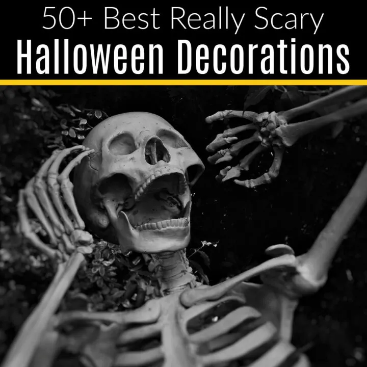 Make your house the scariest on the block! Here's my picks for the best scary Halloween decorations for your home, on any budget.