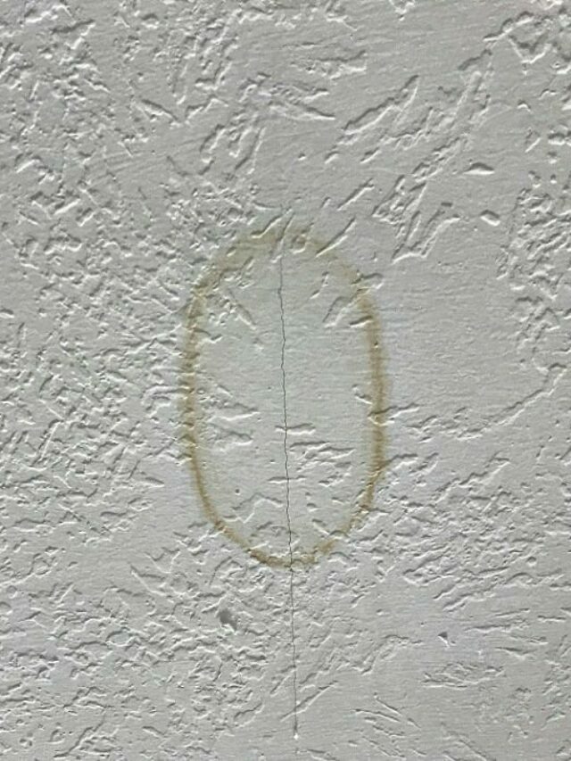 Super Easy Way To Remove Water Stain from Ceiling Without Paint