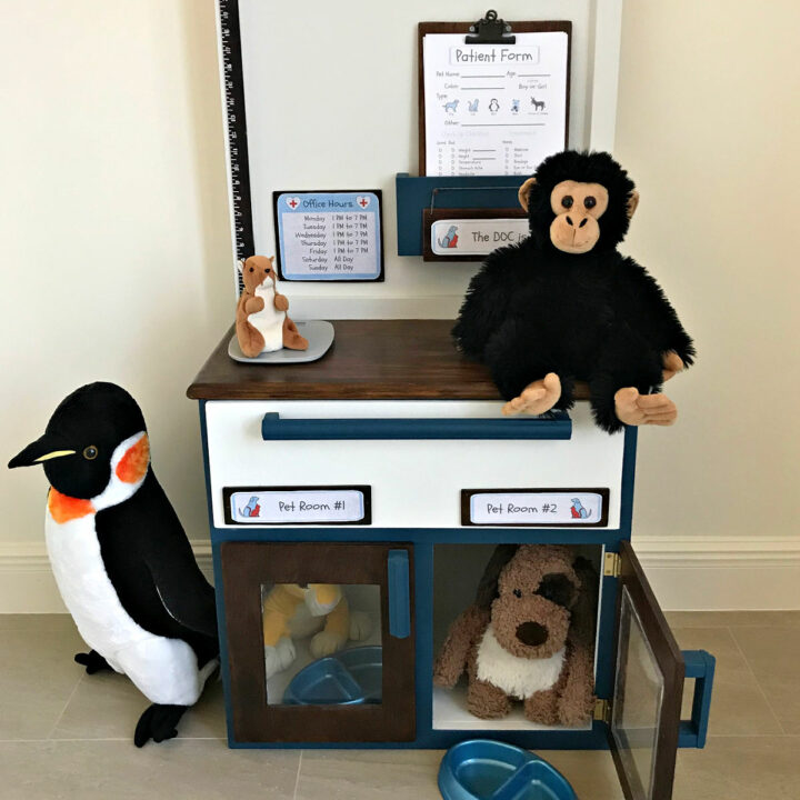 Image of a DIY Vet Clinic for Kids Pretend Play made from woodworking build plans.
