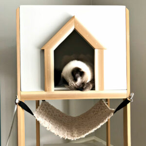 Here's a quick and easy woodworking project for cat lovers. I love how this DIY Cat Tree Wood House - Cat Tower turned out. And, it's a lot cheaper and prettier than those store bought Cat Tree's! Cat Tree or Cat Tower Printable Build Plans.