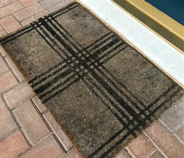 50 Best Outdoor Door Mats For A Beautiful Front Door Abbotts At Home