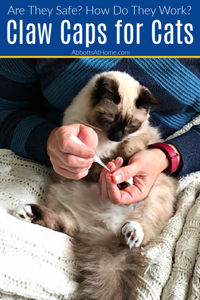 Nail caps for cats to stop cats from scratching