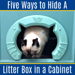 6 GREAT ways to Hide a Kitty Litter Box in a Cabinet. 4 are minor changes safe for rental properties. All of them are perfect for cat lovers!