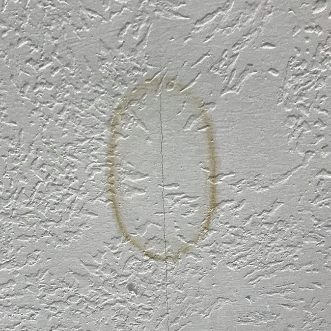 Drop the paint brush, guys. There's an easier way to get rig of ugly water stains. Here's How to Remove Water Stain from Ceiling Without Painting! How to Safely Use Bleach to Remove Brown Water Stains or Water Rings on drywall, plaster, or ceiling tiles..