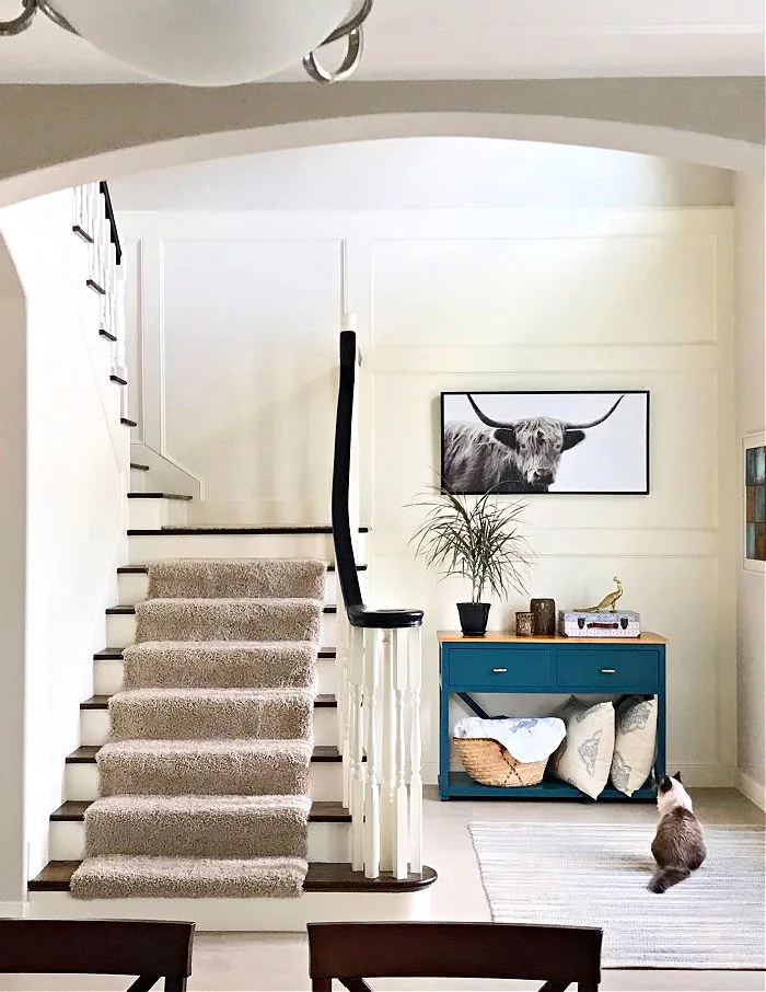 A cat in a white traditional foyer with board and batten.
