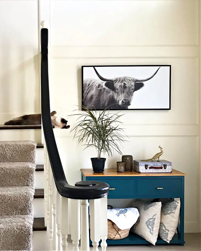 Siamese cat reaching out to a plant on a Console Table in a foyer.