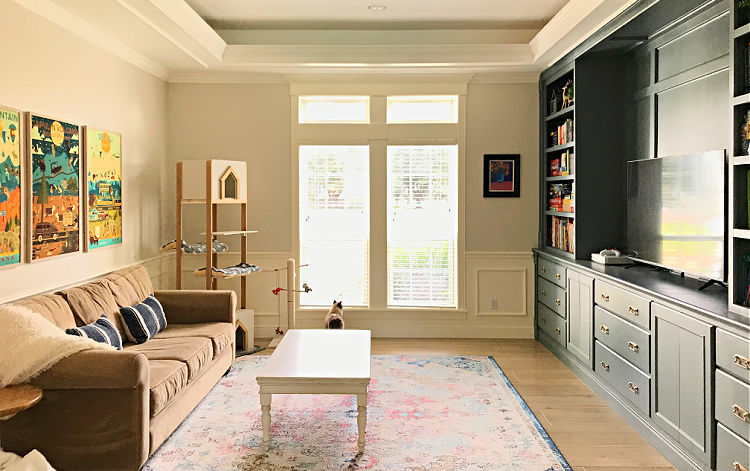 Image of a Family Room with blue grey built ins and light walls.