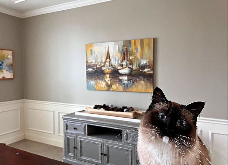 Image of a Siamese Cat in a Dining Room.