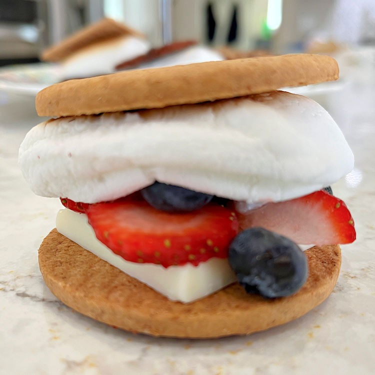 Fruit Smores with berry mix, white chocolate, roasted marshmallow and digestive cookies.