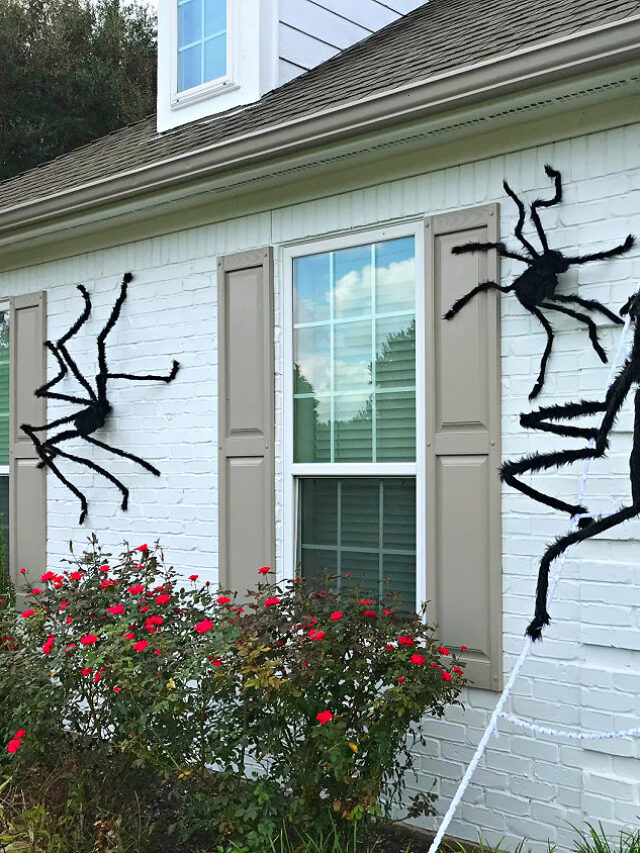How To Attach Spiders And Hang Webs On A House